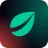 Bitfinex Pro